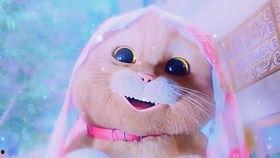 喵星人幕后花絮